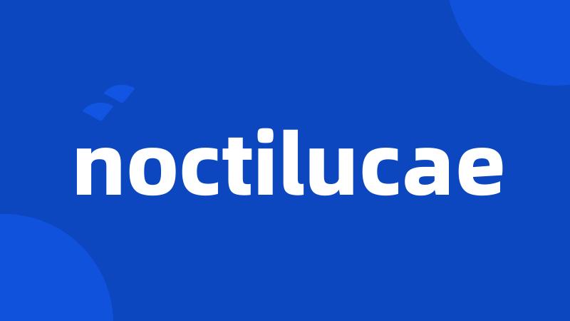 noctilucae