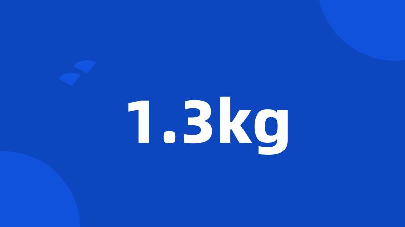 1.3kg