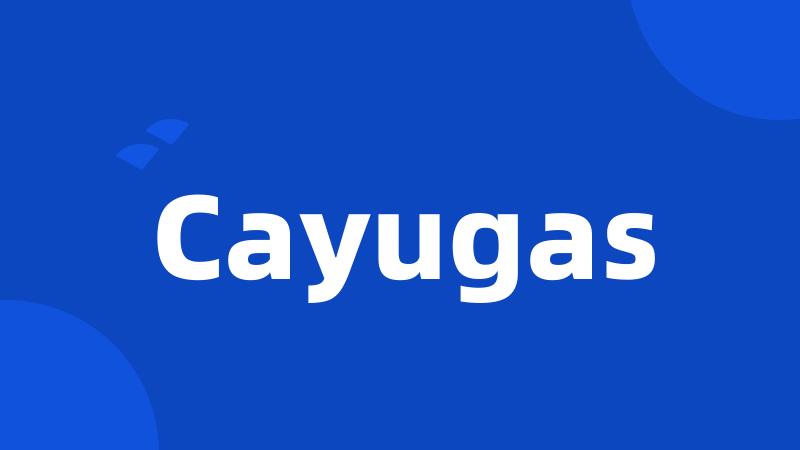 Cayugas