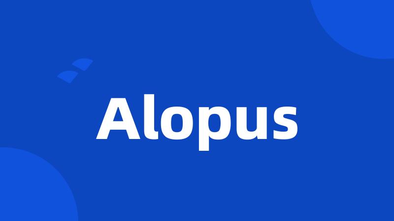 Alopus