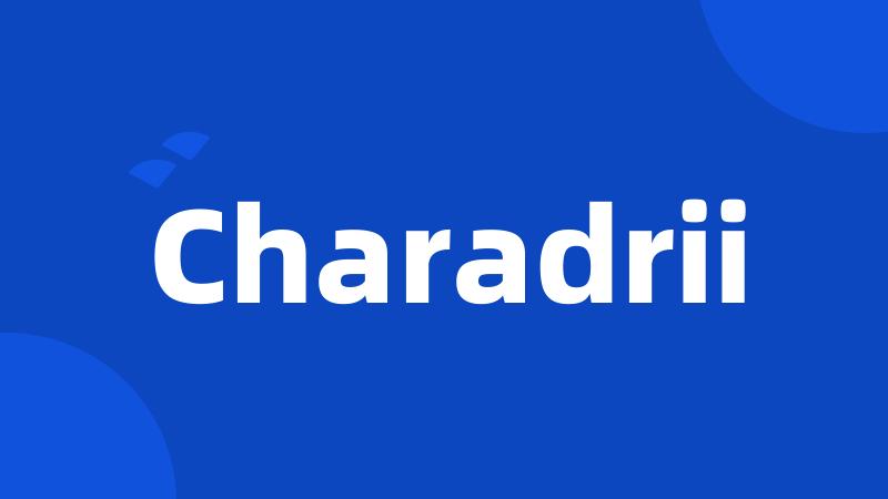 Charadrii