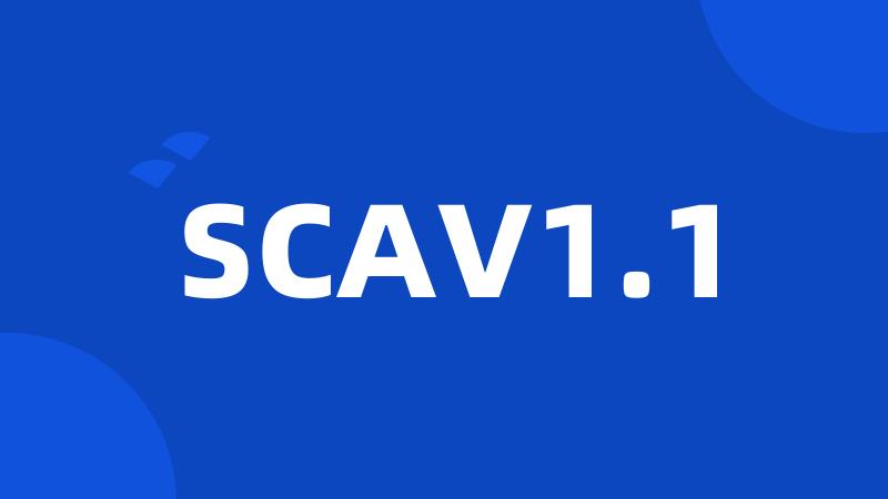 SCAV1.1