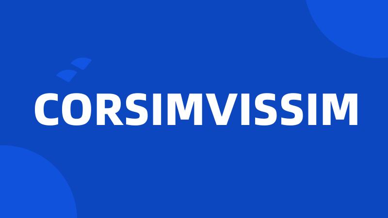 CORSIMVISSIM