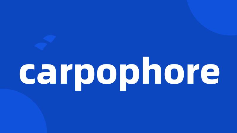 carpophore