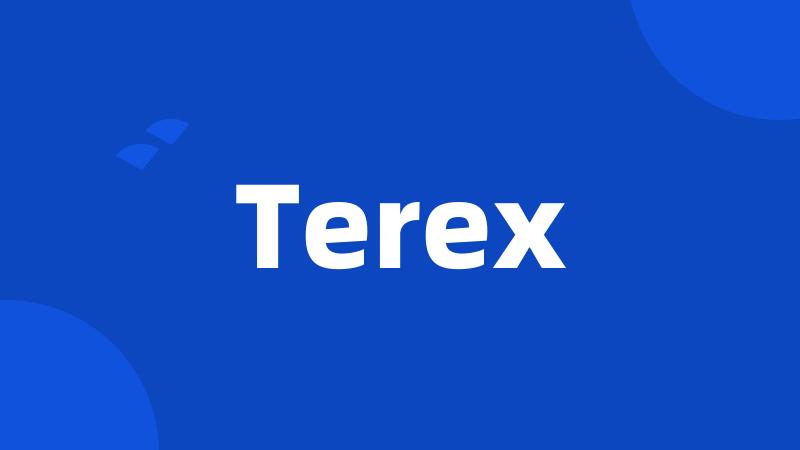 Terex