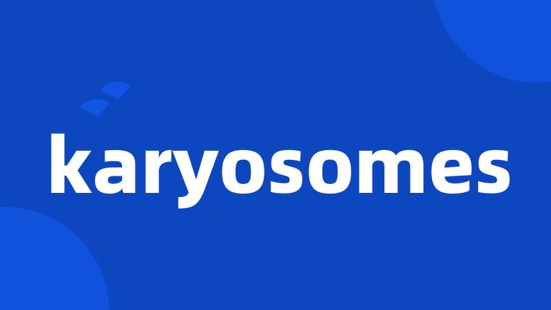 karyosomes
