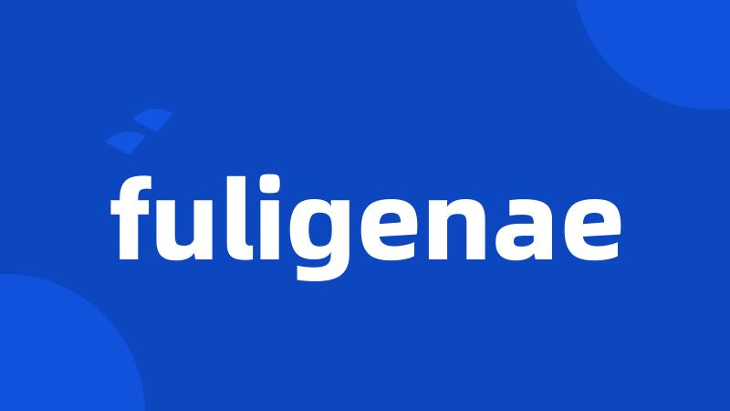 fuligenae