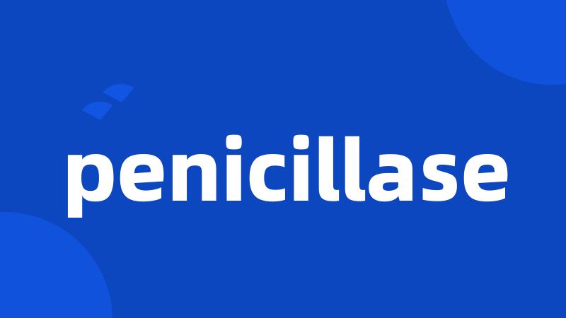 penicillase