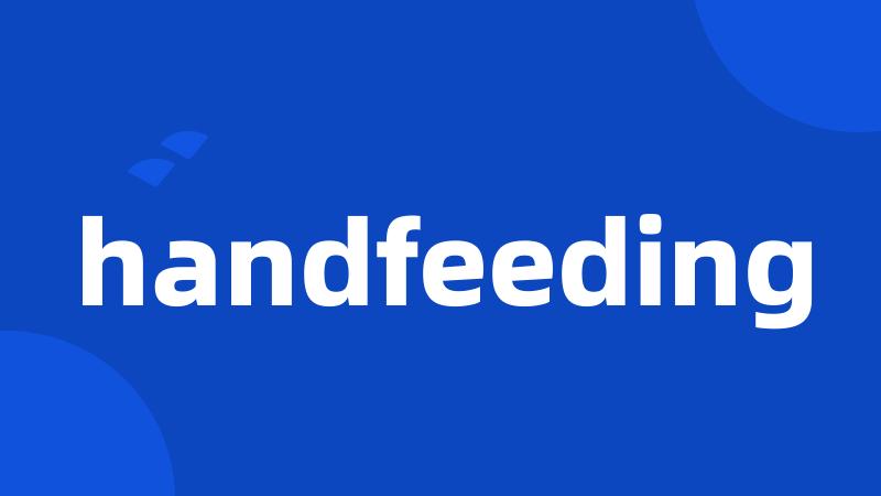 handfeeding