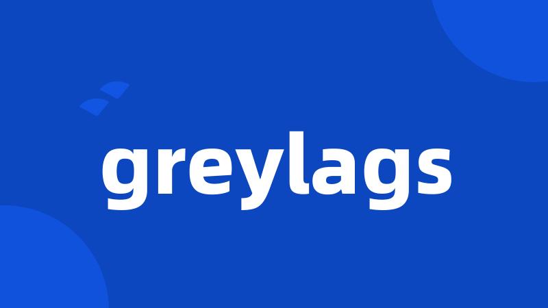 greylags