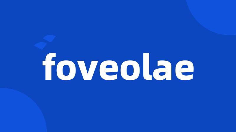 foveolae