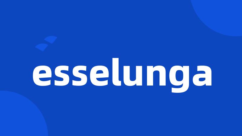 esselunga