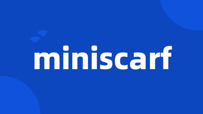 miniscarf