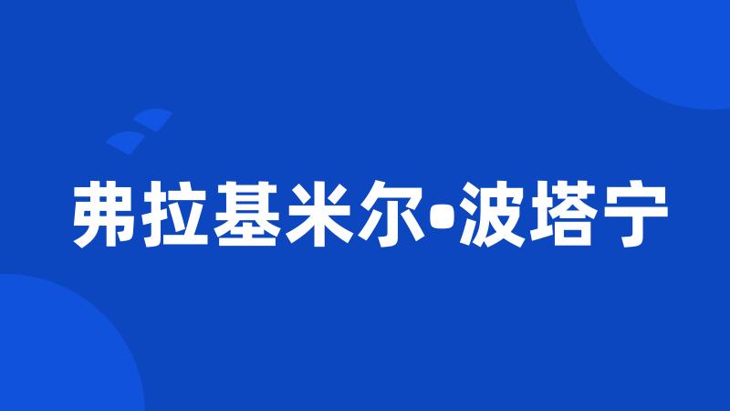 弗拉基米尔•波塔宁