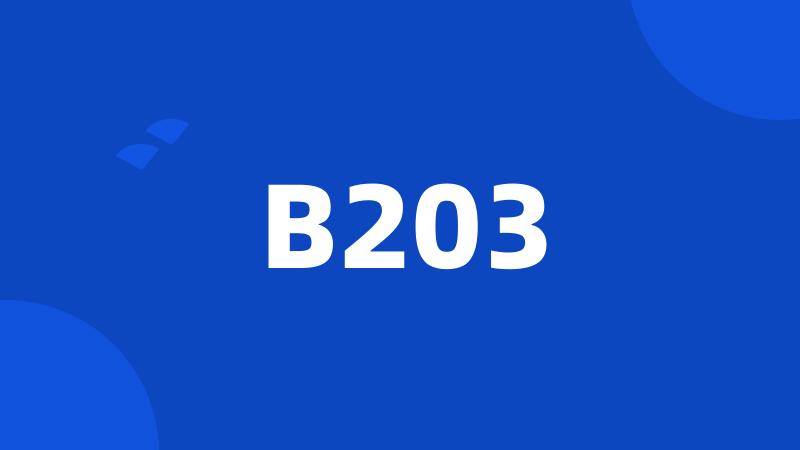 B203