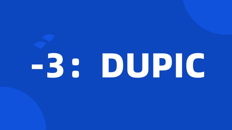 -3：DUPIC