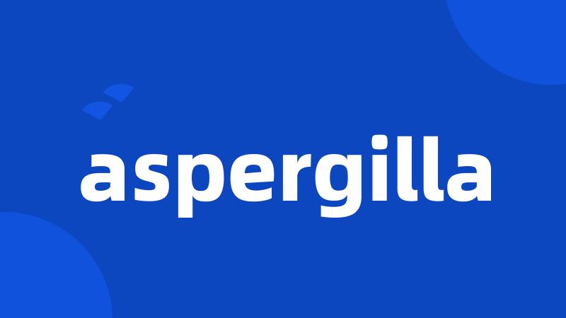 aspergilla