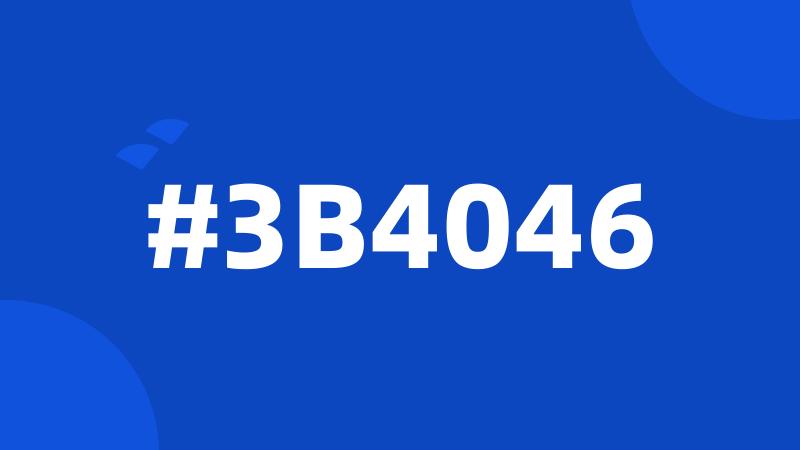 #3B4046