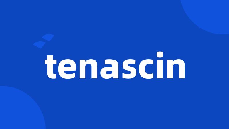 tenascin