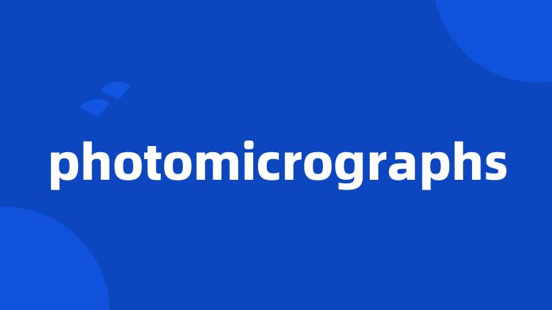 photomicrographs