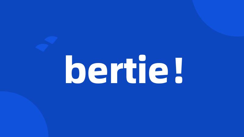 bertie！