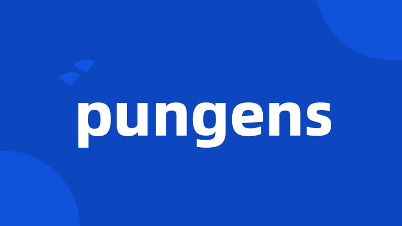 pungens