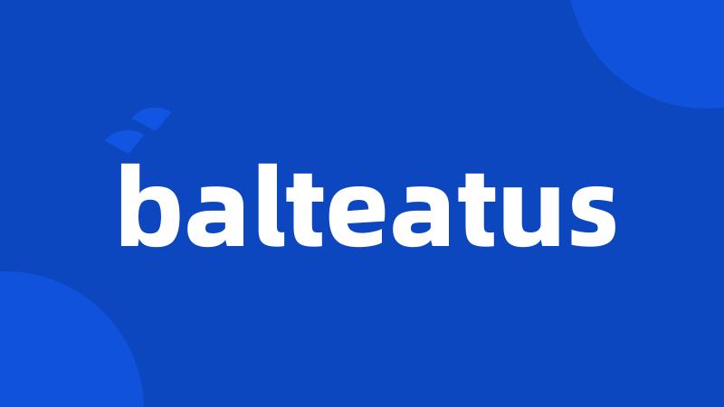 balteatus