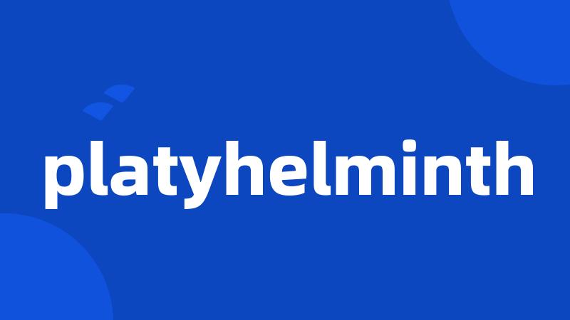 platyhelminth