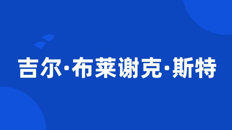 吉尔·布莱谢克·斯特