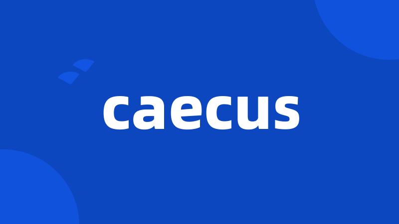 caecus