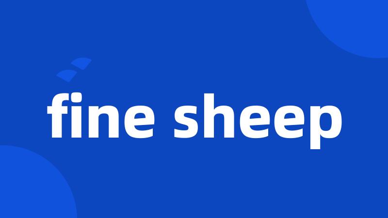 fine sheep