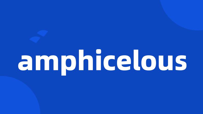 amphicelous