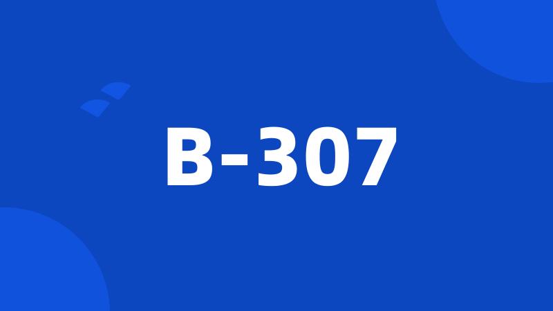 B-307