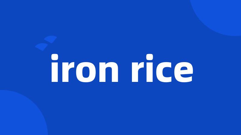 iron rice