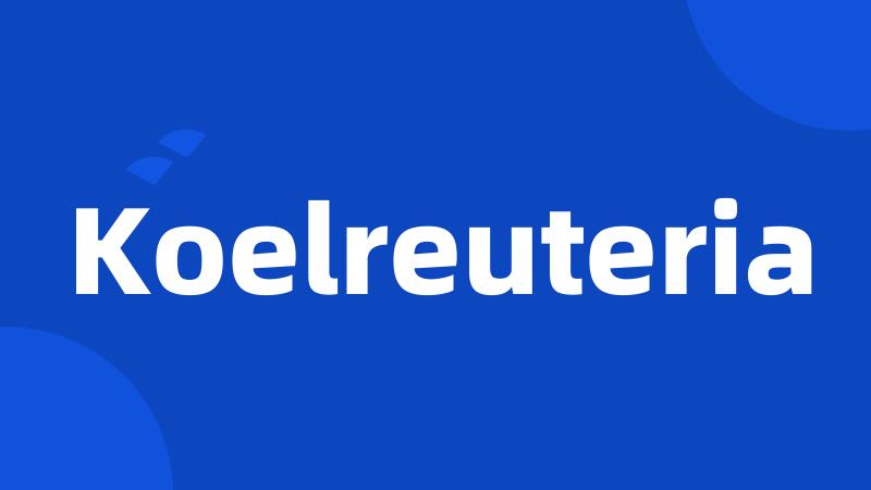 Koelreuteria