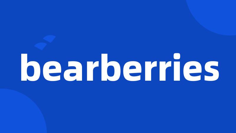 bearberries