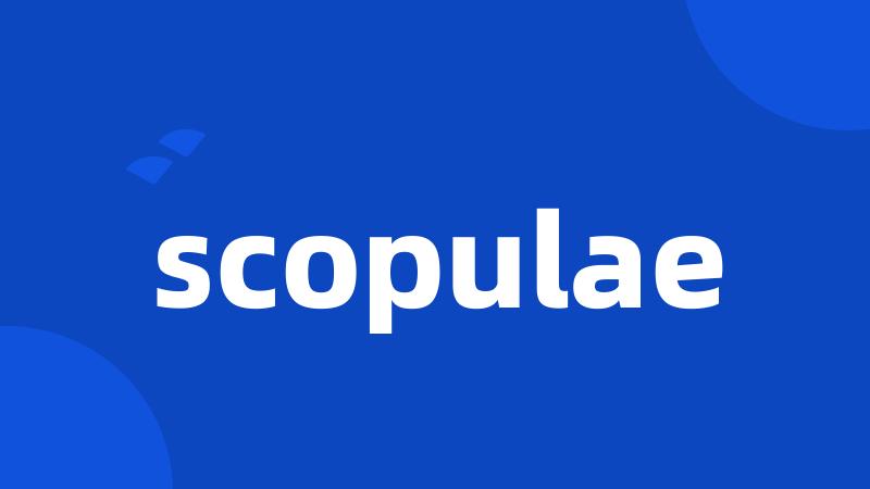 scopulae