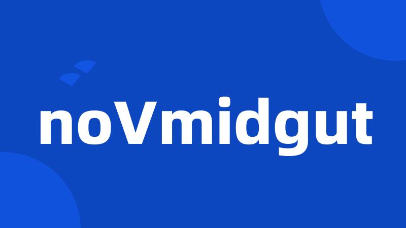 noVmidgut