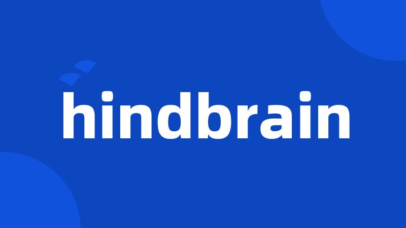 hindbrain