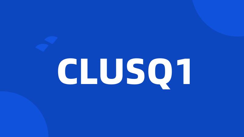 CLUSQ1