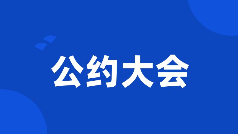 公约大会