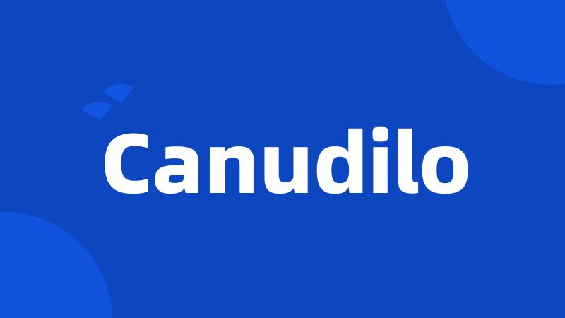 Canudilo