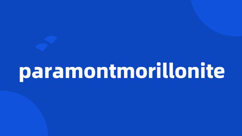 paramontmorillonite