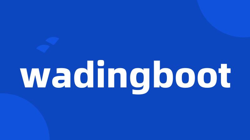 wadingboot