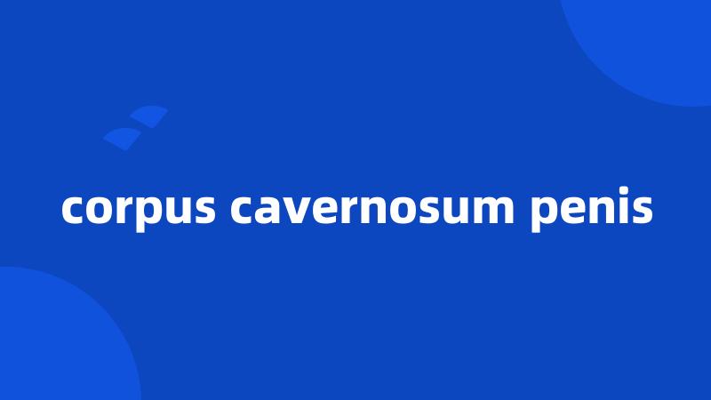 corpus cavernosum penis