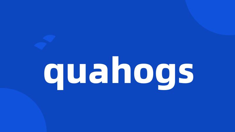 quahogs