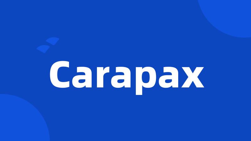 Carapax