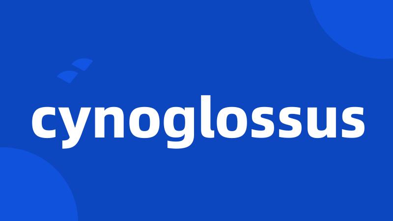 cynoglossus