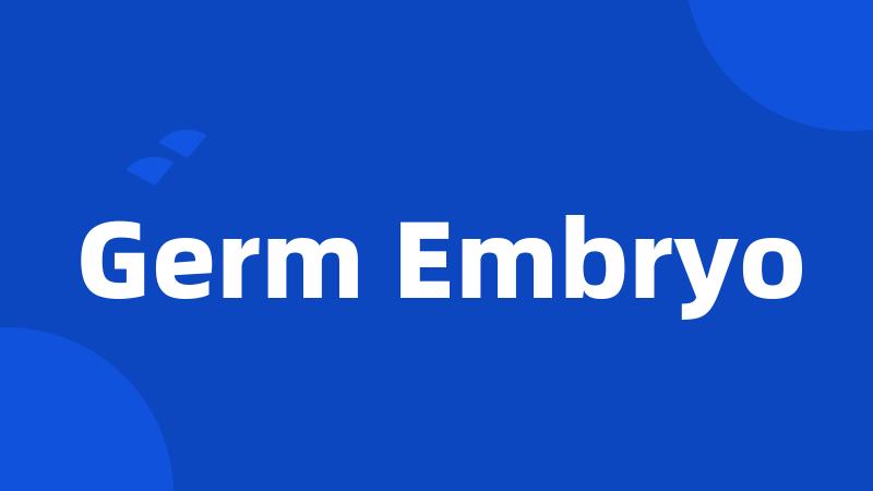 Germ Embryo
