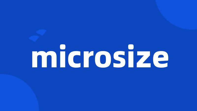 microsize